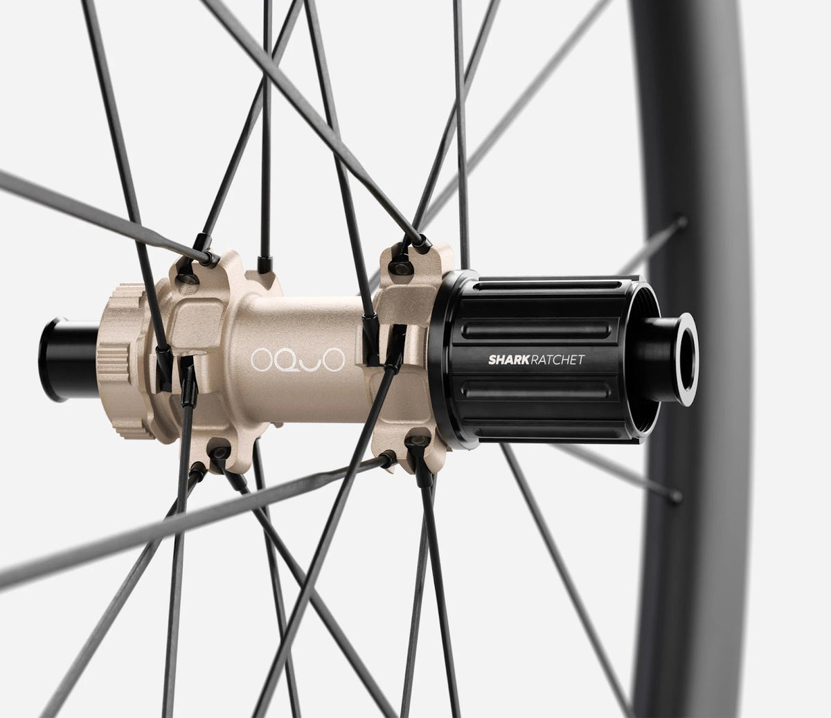 O1900042