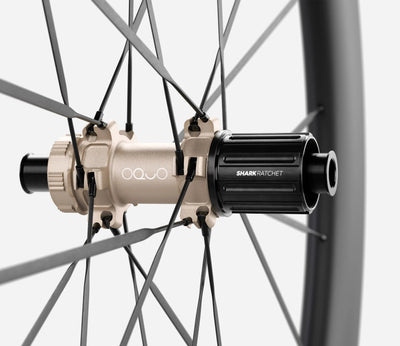 O1950043