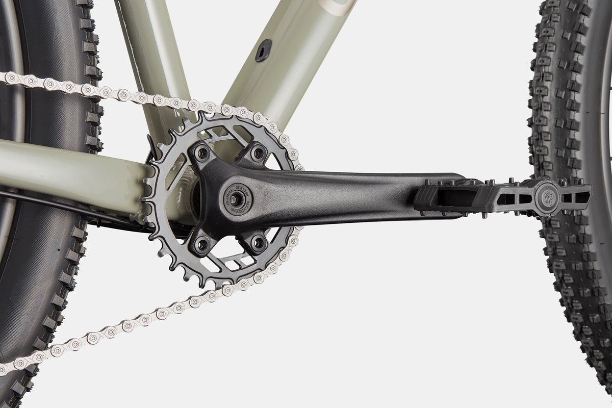 Trail 1 Cannondale 2025 Tiger Shark #5