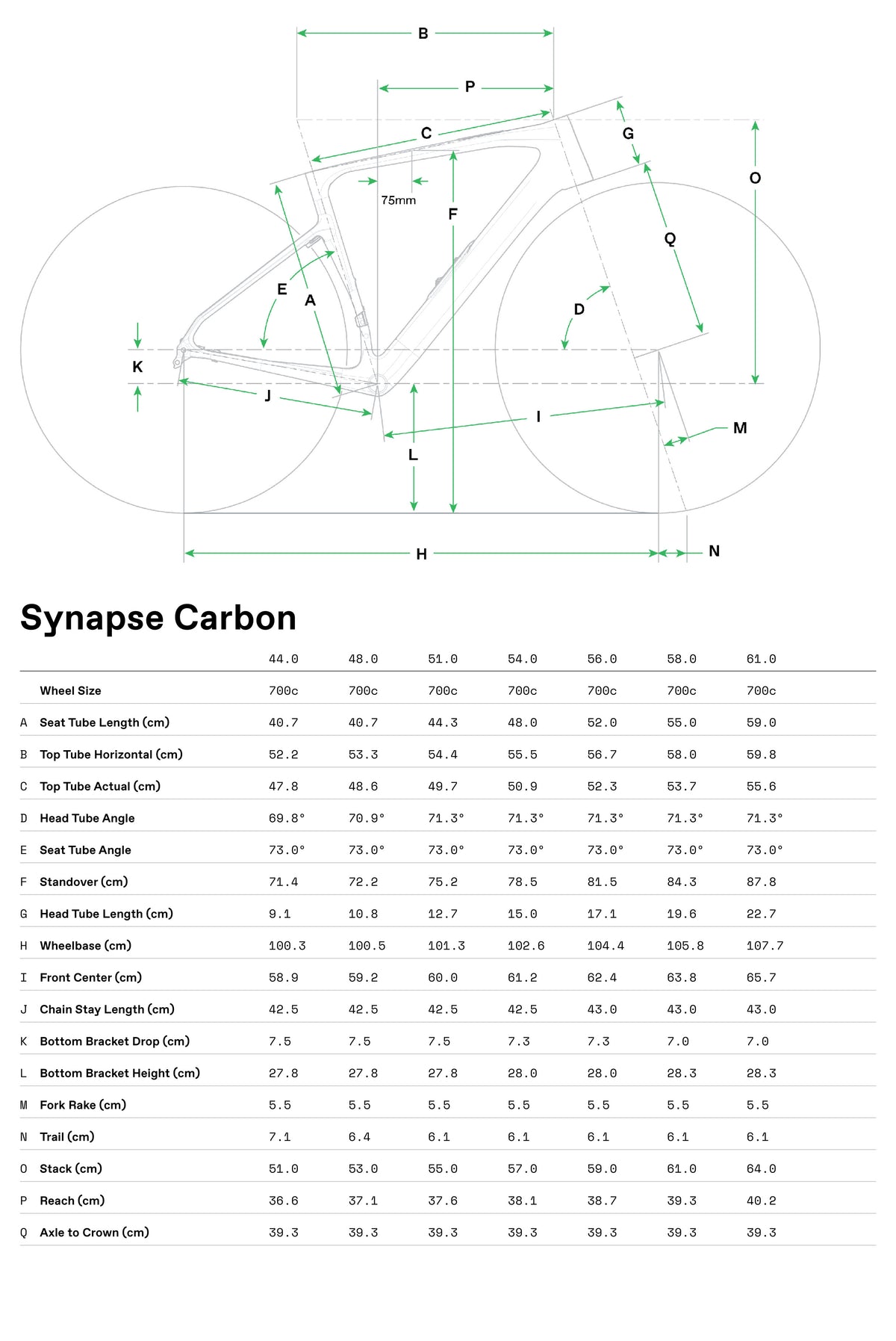Synapse Carbon 4 Cannondale 2025 Chalk #8